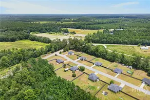 52 Pine View Dr SE, Ludowici, GA 31316 - Photo 29