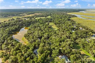 2009 Hidden Lagoon Ln NE, Shellman Bluff, GA 31331 - Photo 59