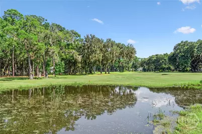2009 Hidden Lagoon Lane NE, Shellman Bluff, GA 31331 - Photo 47