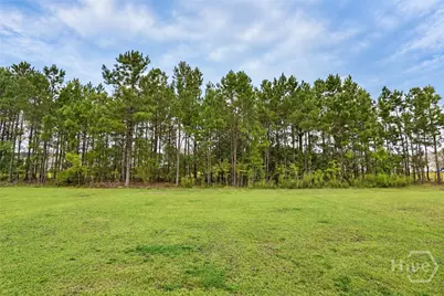 31 Cambium Circle, Richmond Hill, GA 31324 - Photo 23