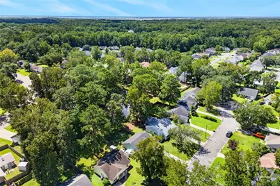 107 W White Hawthorne Drive, Savannah, GA 31419 - Photo 57