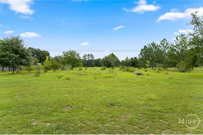 3317 Henry Moxley Rd, Cobbtown, GA 30420 - Photo 7