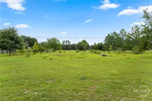 3317 Henry Moxley Rd, Cobbtown, GA 30420 - Photo 7