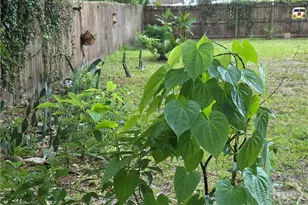 3004 Young Ave, Savannah, GA 31404 - Photo 23