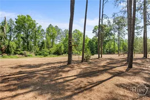 392 Indigo Hills Rd, Pembroke, GA 31321 - Photo 39