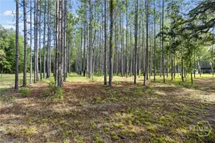 2445 Wilma Edwards Rd, Ellabell, GA 31308 - Photo 19