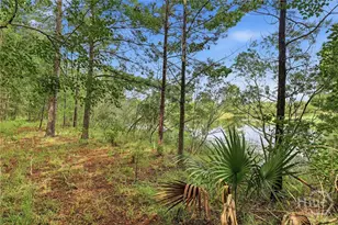 42 Chapel Lake N, Savannah, GA 31419 - Photo 51