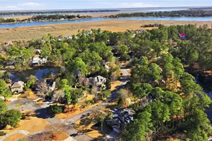 101 Hedge Nettle Crossing, Savannah, GA 31406 - Photo 49