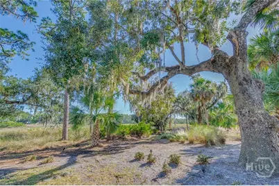 24 Captains Crossing, Savannah, GA 31411 - Photo 41