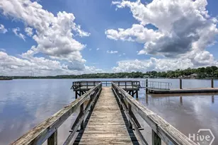10 Crows nest Pt, Savannah, GA - Photo 41
