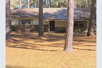 230 Springfield Egypt Road, Springfield, GA 31329 - Photo 1