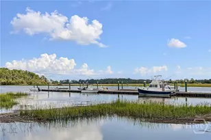 9 Egrets Nest Dr, Savannah, GA 31406 - Photo 63