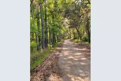 1306 Walker Road, Sapelo Island, GA 31327 - Photo 47