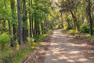 1306 Walker Rd, Sapelo Island, GA 31327 - Photo 47