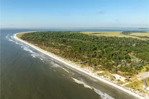 1306 Walker Rd, Sapelo Island, GA 31327 - Photo 43