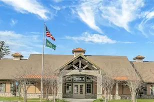 173 Brickhill Cir, Savannah, GA 31407 - Photo 57