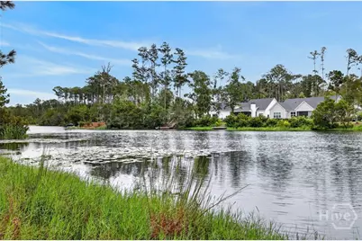 14 Lower Creek Drive, Richmond Hill, GA 31324 - Photo 45