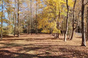 130 Gambit Ct, Washington, NC 27889 - Photo 1