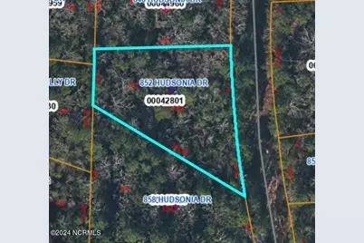852 Hudsonia Drive, Vass, NC 28394 - Photo 1