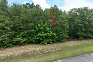 173 Deer Pointe Dr, Snow Hill, NC 28580 - Photo 1