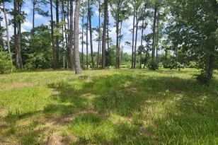 63 Windsor Cir SW, Ocean Isle Beach, NC 28469 - Photo 1