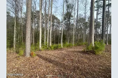 1007 Parchment Bluff, New Bern, NC 28562 - Photo 1