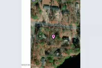 Tbd Blues Farm Road, Laurinburg, NC 28352 - Photo 1