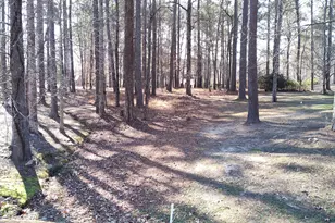 209 Connecticut Dr, Chocowinity, NC 27817 - Photo 1