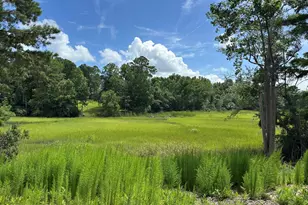 1 Williams Store Rd Rd, Hampstead, NC 28443 - Photo 1