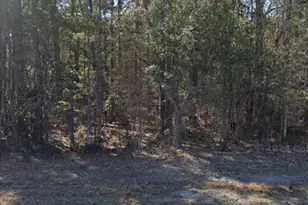 24480 US Hwy 17, Hampstead, NC 28443 - Photo 1