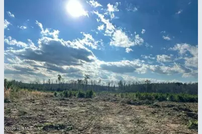 Lot 19 Good Shepherd Trail, Spring Hope, NC 27882 - Photo 1