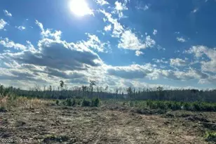 Lot 20 Good Shepherd Trail, Spring Hope, NC 27882 - Photo 1