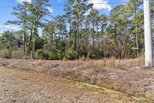 662 Bricklanding Rd SW, Shallotte, NC 28470 - Photo 1