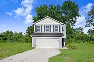 204 Streamlet Dr, Fremont, NC 27830 - Photo 1