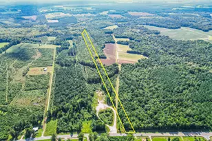 1375 NC-43, Vanceboro, NC 28586 - Photo 1