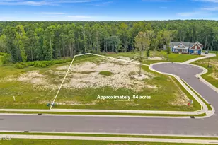 30 Dragonfly Ln, Hampstead, NC 28443 - Photo 1