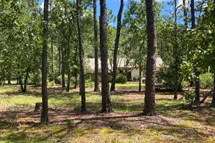 267 Watts Landing Rd, Hampstead, NC 28443 - Photo 1