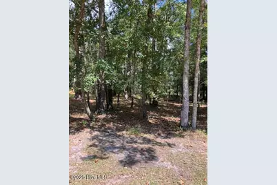 471 Shiloh Lane SE, Bolivia, NC 28422 - Photo 1