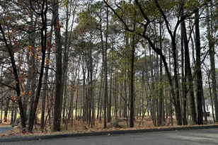 108 Winsford Cir, West End, NC 27376 - Photo 1