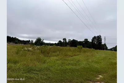 Lot 4 Doubs Chapel Road, West End, NC 27376 - Photo 1