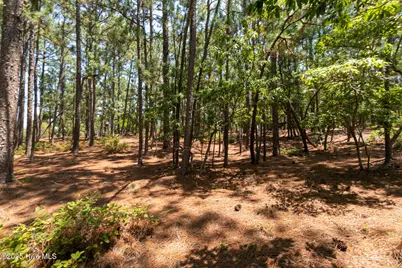 106 Brendell Court, West End, NC 27376 - Photo 1