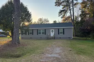 64 High Orchard Rd, Whiteville, NC 28472 - Photo 1