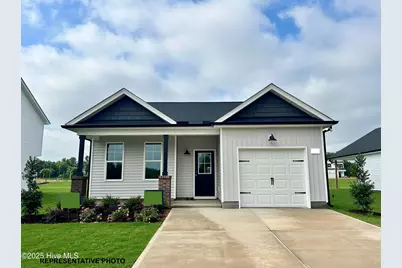 286 Bluejay Street, Clayton, NC 27520 - Photo 1