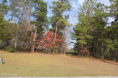 1193 Sabel Loop SE, Bolivia, NC 28422 - Photo 1