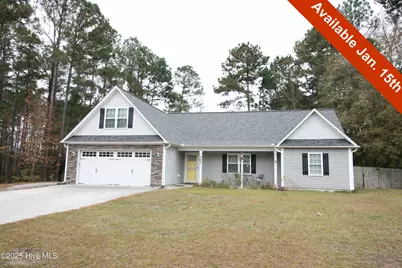 101 Old Dock Landing Road, Sneads Ferry, NC 28460 - Photo 1