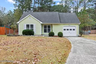 111 Honey Tree Ct, Piney Green, NC 28544 - Photo 1