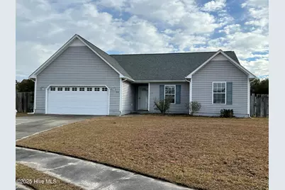 916 Gum Branch Court, Havelock, NC 28532 - Photo 1