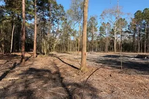 4404 Smith Trail NE, Leland, NC 28451 - Photo 1