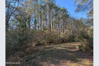 260 Seafood Court NW, Calabash, NC 28467 - Photo 1