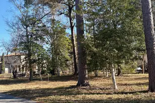100 Oak Outlook Way N, Carolina Beach, NC 28428 - Photo 1